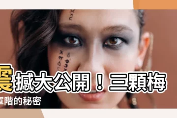 【三顆梅花軍階】震撼大公開！三顆梅花軍階的秘密