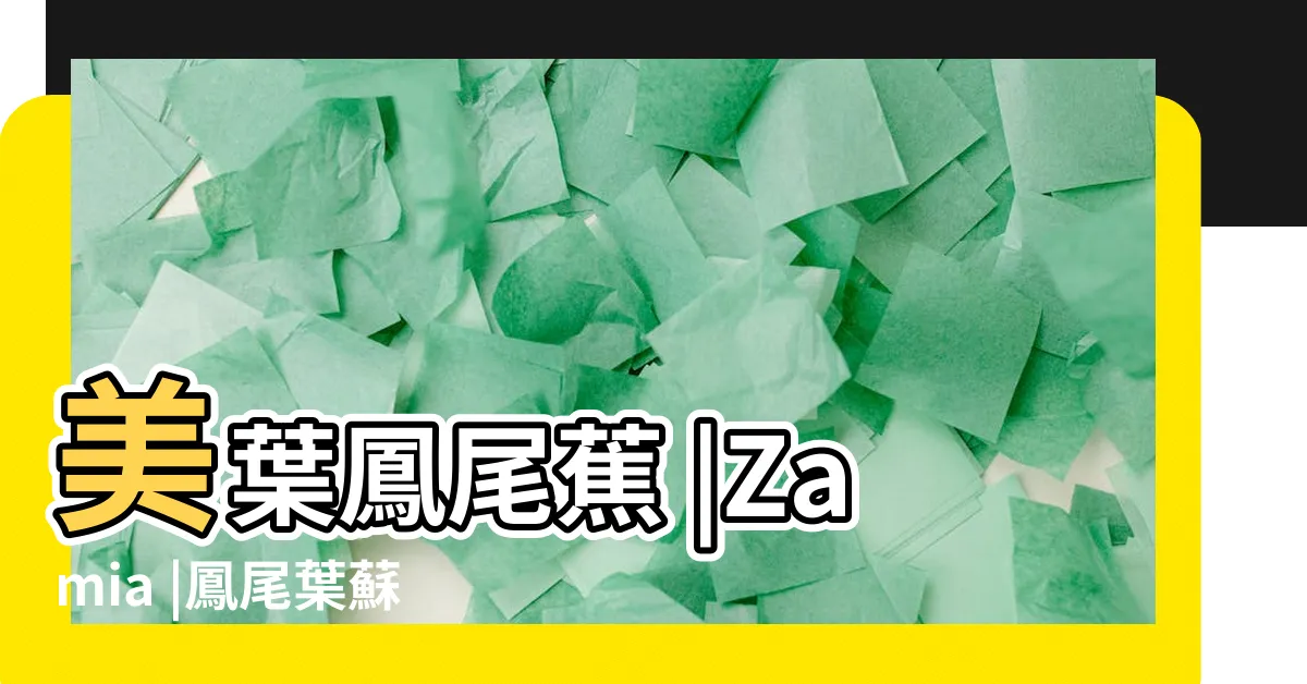 【鳳尾蕉】美葉鳳尾蕉 |Zamia |鳳尾葉蘇鐵 |
