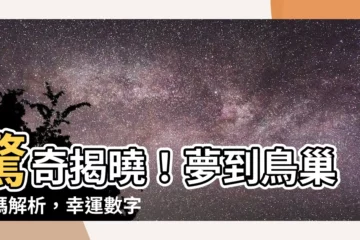 【夢見鳥巢號碼】驚奇揭曉！夢到鳥巢號碼解析，幸運數字助你中大獎