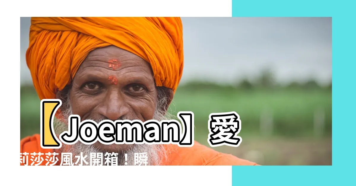 【愛莉莎莎 風水】【Joeman】愛莉莎莎風水開箱！瞬間改變命運的神奇之旅！