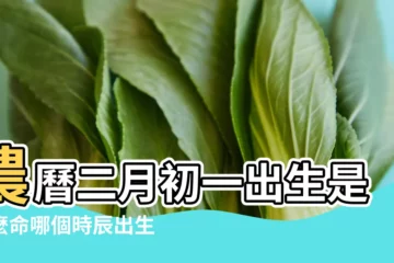 【農曆二月初一是什麼命】農曆二月初一出生是什麼命哪個時辰出生好 |農曆二月初一出生 |陰曆二月初一出生的人命運如何 |