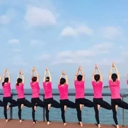 4、惠州最好的瑜伽培訓學校