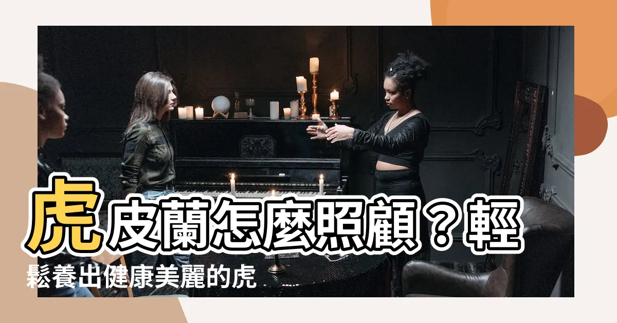 【虎皮蘭照顧】虎皮蘭怎麼照顧？輕鬆養出健康美麗的虎尾蘭