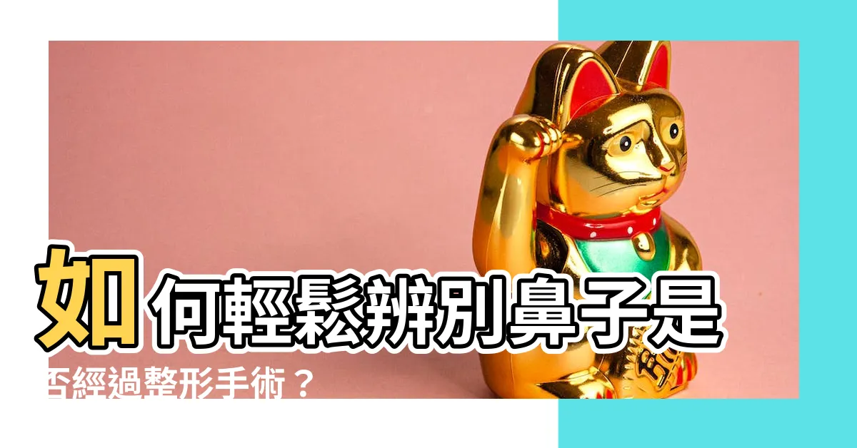 【如何看鼻子有沒有整】如何輕鬆辨別鼻子是否經過整形手術？