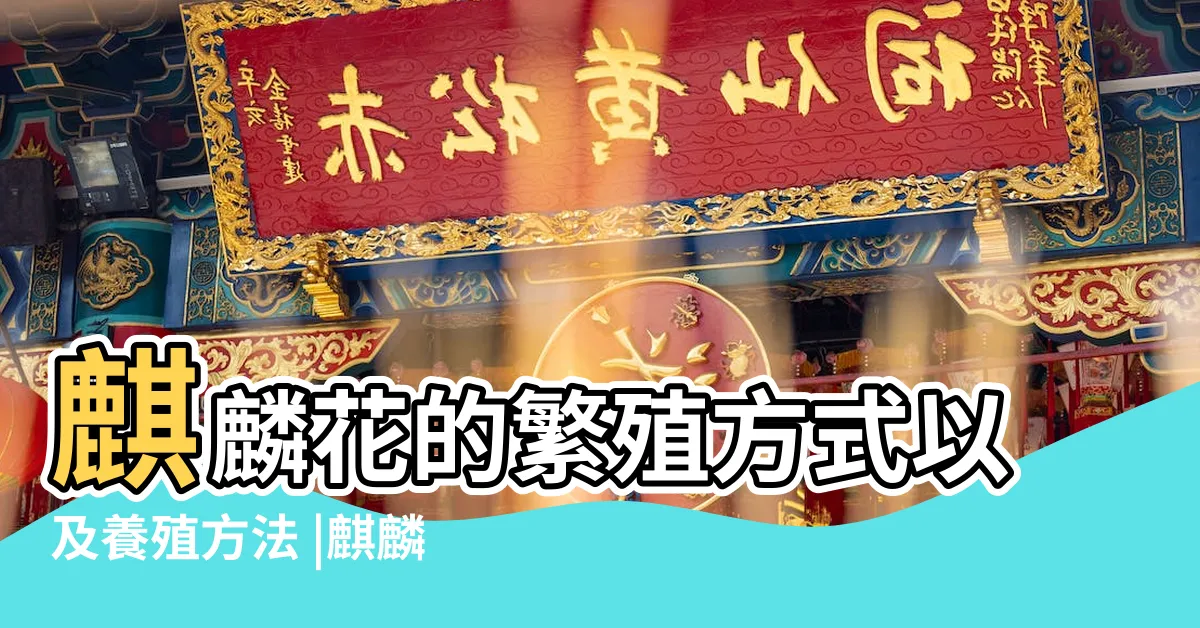 【麒麟花繁殖】麒麟花的繁殖方式以及養殖方法 |麒麟花日常養護照顧方法 |