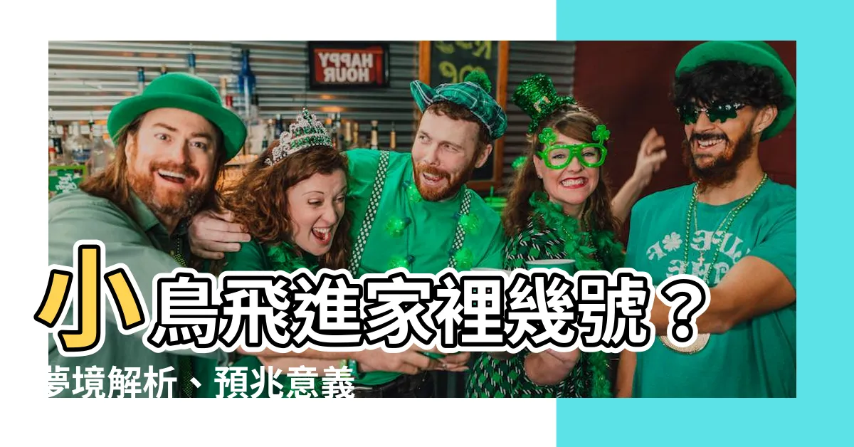 【小鳥飛進家裡幾號】小鳥飛進家裡幾號？夢境解析、預兆意義和代表含義！