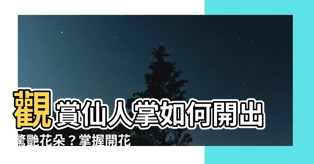 【仙人掌 開花】觀賞仙人掌如何開出驚艷花朵？掌握開花關鍵，解讀吉祥寓意！