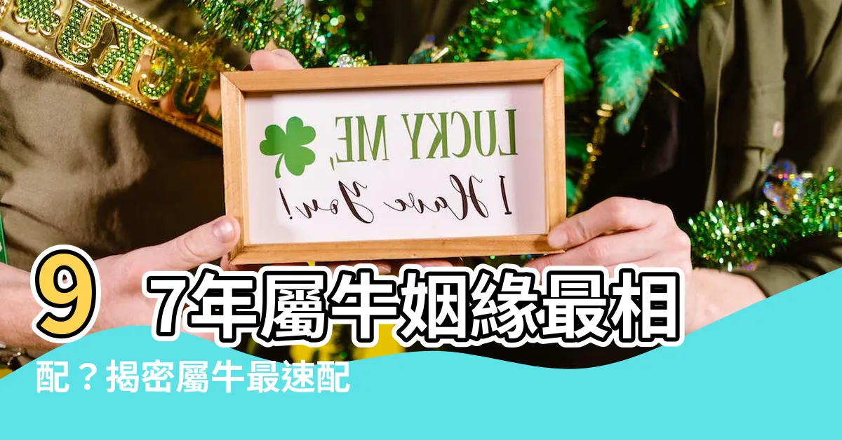 【97年屬什麼】97年屬牛姻緣最相配？揭密屬牛最速配的生肖
