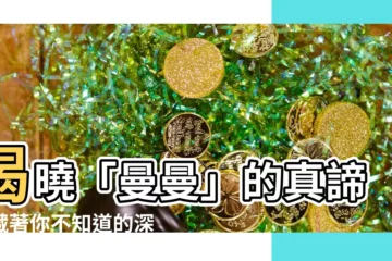 【曼曼意思】揭曉「曼曼」的真諦：藏著你不知道的深層含義！