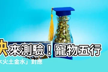 【寵物五行】快來測驗！寵物五行「木火土金水」對應你的個性體質