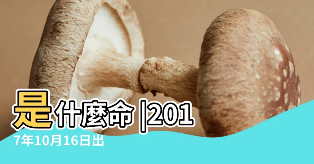 是什麼命 |2017年10月16日出生的人是什麼命 |2017年10月16日出生日期看命運 |【2017年10月16號生寶寶好】