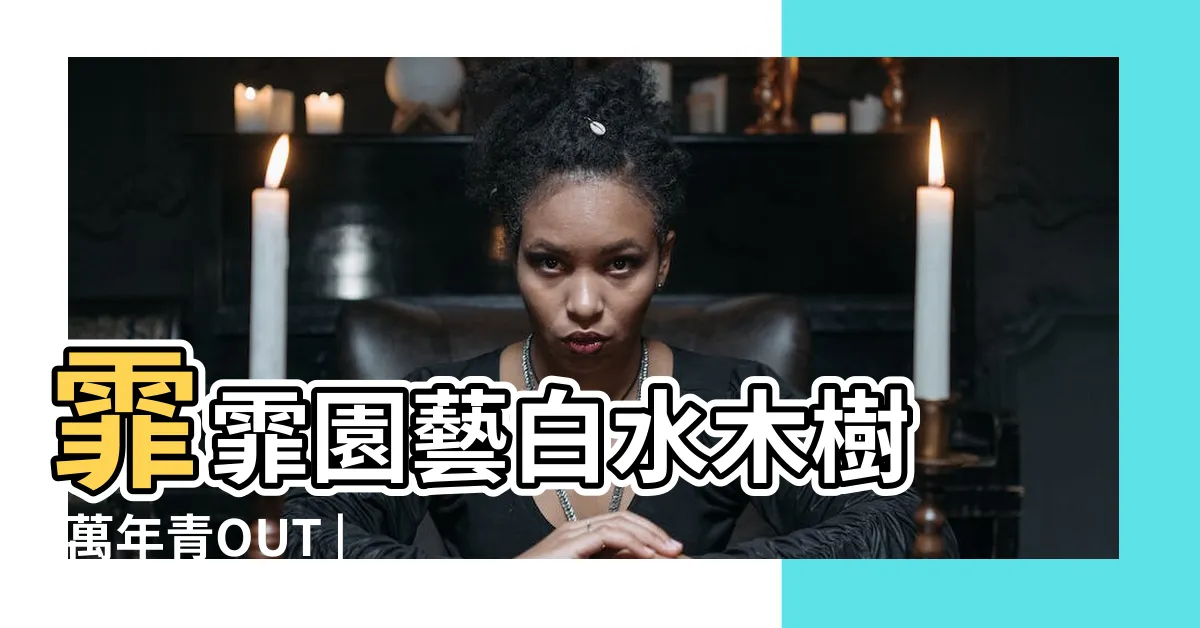 【白水木招財】霏霏園藝白水木樹 |萬年青OUT |原來還有這些植物也開運招財白水木 |
