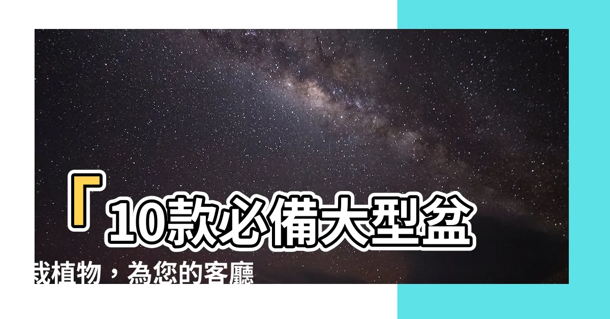 【大型盆栽植物】「10款必備大型盆栽植物，為您的客廳和會議室增添綠意！」