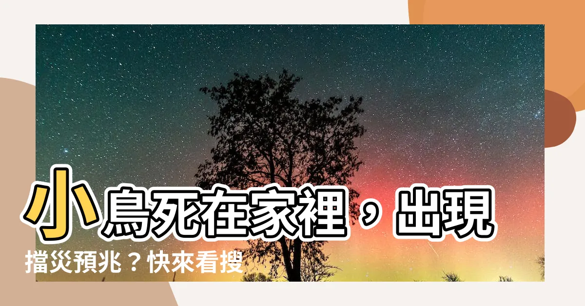 【小鳥死在家裡】小鳥死在家裡，出現擋災預兆？快來看搜索結果！
