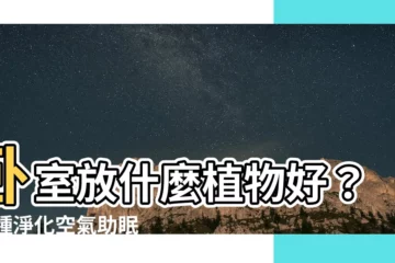 【卧室放什麼植物好】卧室放什麼植物好？10種淨化空氣助眠植物報你知！