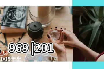 【2005年2017】1969 |2017 |2005年出生到2017幾歲 |