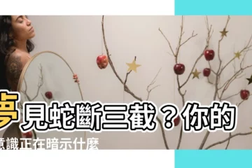 【夢見蛇斷三截】夢見蛇斷三截？你的潛意識正在暗示什麼？