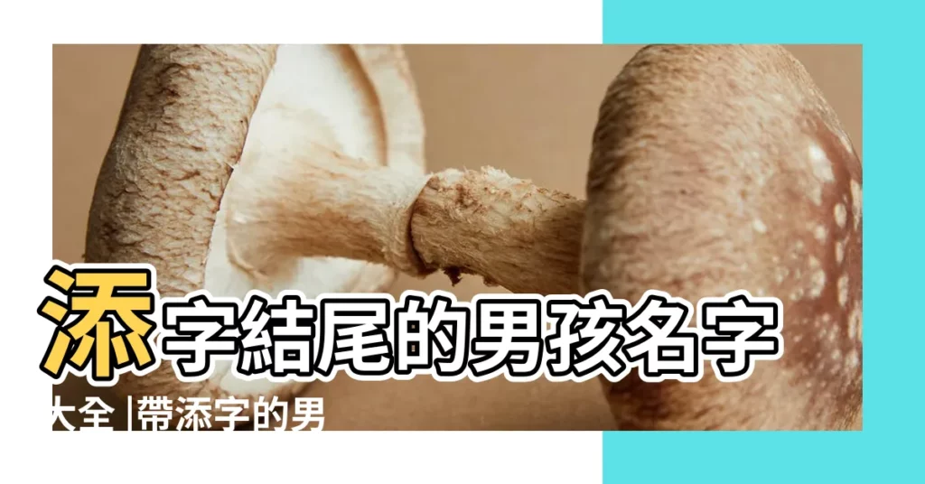 添字結尾的男孩名字大全 |帶添字的男孩名字 |以添字結尾的男孩名字 |【添字結尾的男孩子名】