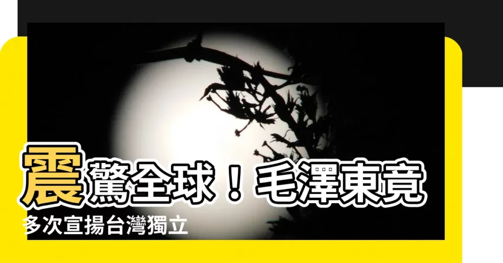 【毛澤東多次宣揚台獨】震驚全球！毛澤東竟多次宣揚台灣獨立 網民驚呼：謊言的年代