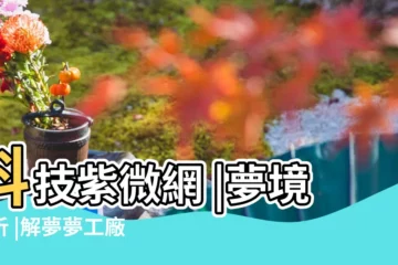 【做夢夢見賣梨好不好】科技紫微網 |夢境解析 |解夢夢工廠 |
