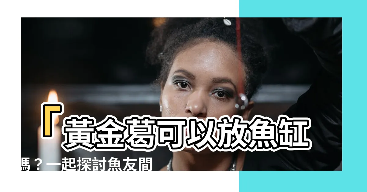【黃金葛可以放魚缸嗎】「黃金葛可以放魚缸嗎？一起探討魚友間的熱議話題！」