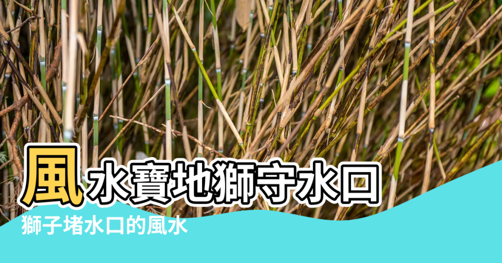 【風水獅子把水口葬地】風水寶地獅守水口 |獅子堵水口的風水 |風水中的獅象把水口 |