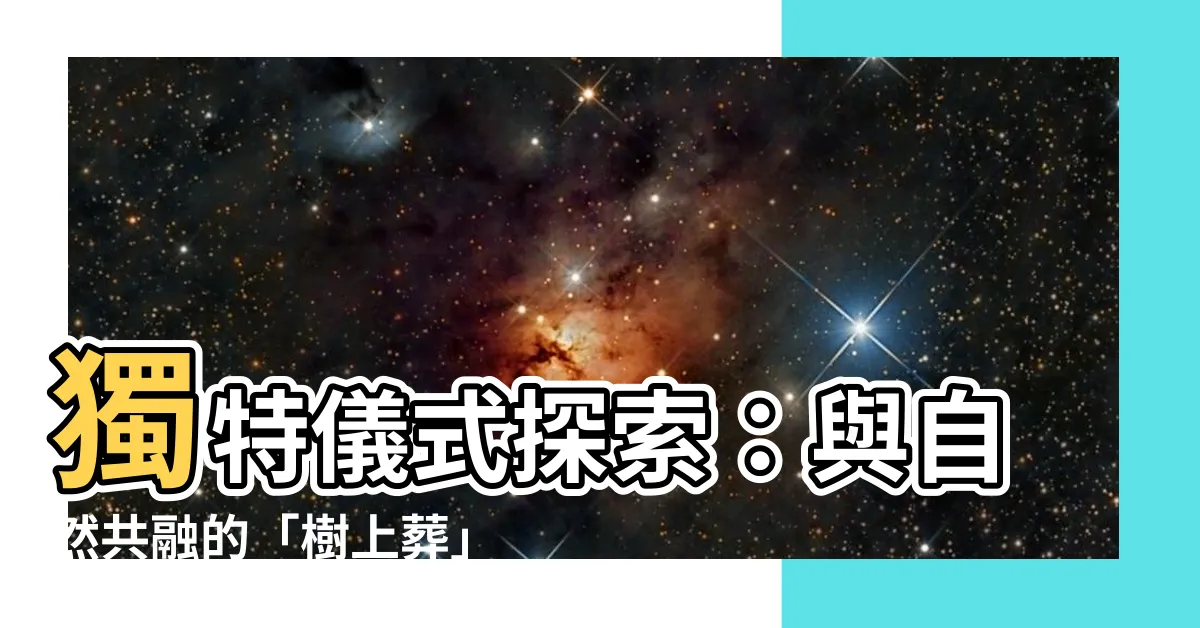 【樹上葬】獨特儀式探索：與自然共融的「樹上葬」方式