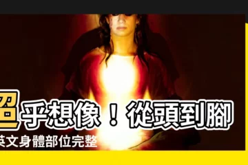 【身體部位】超乎想像！從頭到腳的英文身體部位完整指南