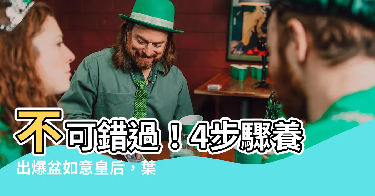 【如意植物】不可錯過！4步驟養出爆盆如意皇后，葉色比花還美！