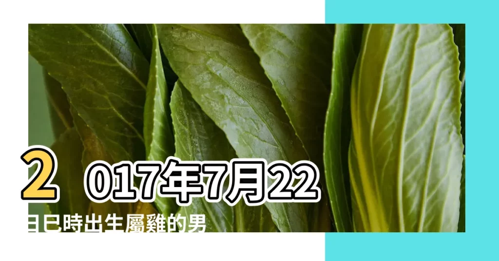 2017年7月22日巳時出生屬雞的男性八字算命 |2017年7月22日出生的人命好嗎 |2017年7月22日出生的人生辰八字測算 |【2017年7月22日已時八字】