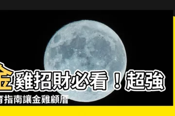 【金雞怎麼養】金雞招財必看！超強養育指南讓金雞顧厝又發財