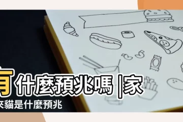【貓在別人心裏代表什麼預兆】有什麼預兆嗎 |家裏來貓是什麼預兆 |有一隻貓跑來我家生了4只小貓 |