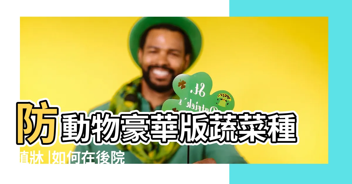 【種植牀】防動物豪華版蔬菜種植牀 |如何在後院搭建種植牀 |豌豆的四季生長 |