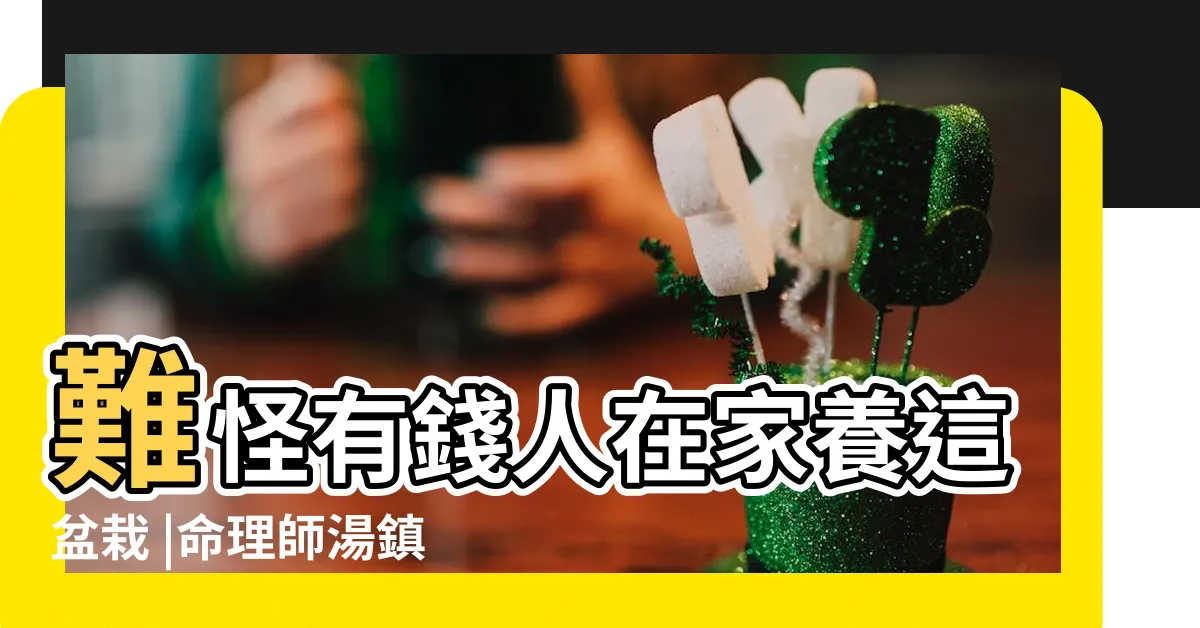 【初雪葛風水】難怪有錢人在家養這盆栽 |命理師湯鎮瑋曝5大植栽風水禁忌 |家裡的植物別亂種 |