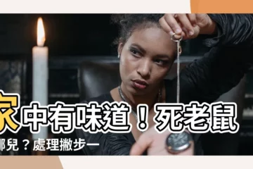 【發現死老鼠】家中有味道！死老鼠藏哪兒？處理撇步一次看