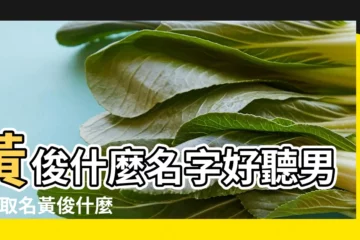 【黃俊什麼名字好聽女孩】黃俊什麼名字好聽男孩 |取名黃俊什麼好 |叫黃俊什麼名字好聽 |