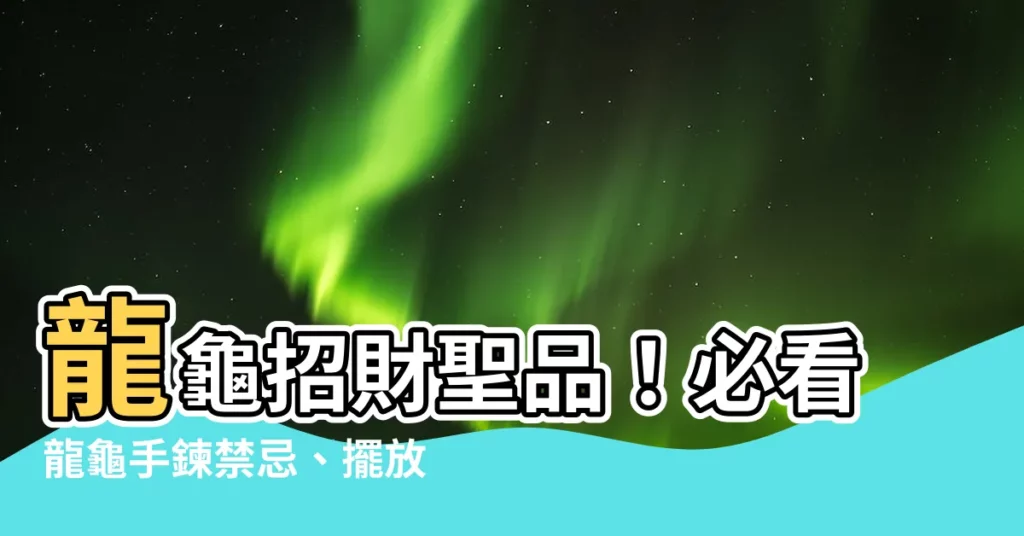【龍龜手鍊禁忌】龍龜招財聖品！必看龍龜手鍊禁忌、擺放招財、開光妙法全攻略！