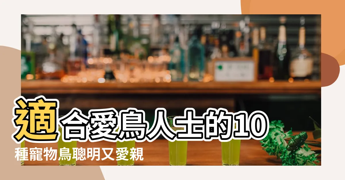 【可以養的鳥】適合愛鳥人士的10種寵物鳥聰明又愛親近人 |適閤家養的十種鳥類 |聰明又好養 |