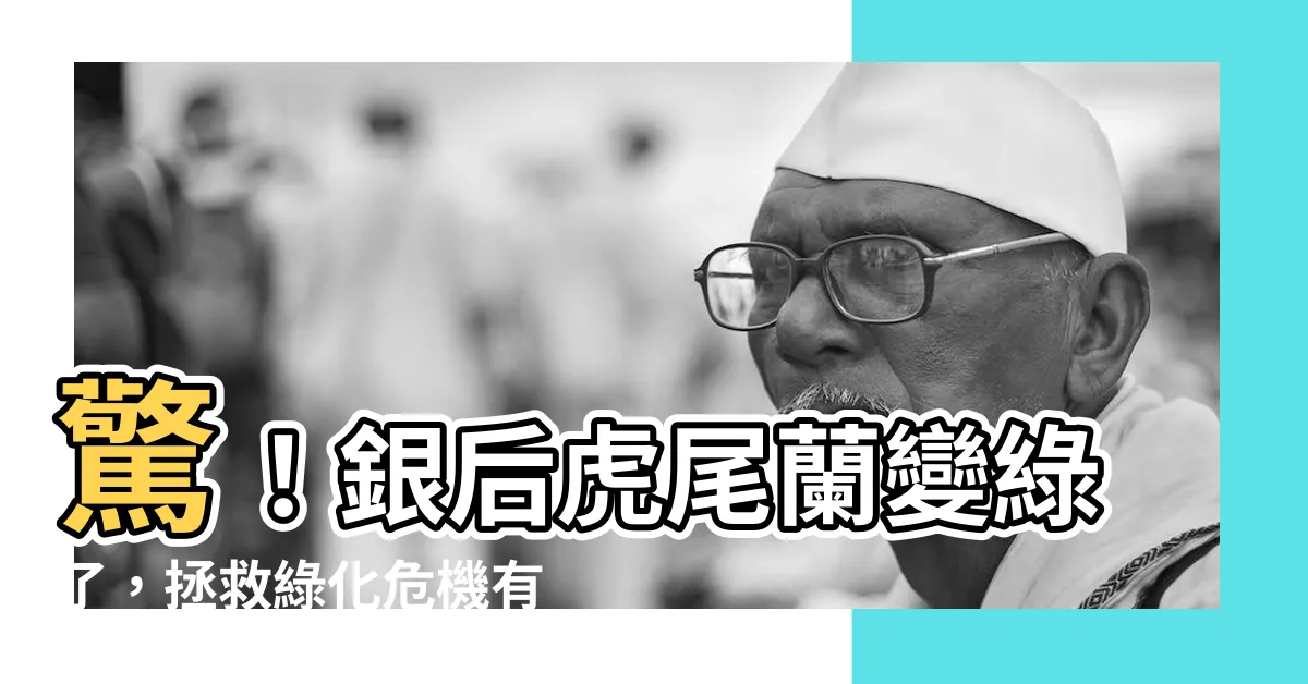 【銀後虎尾蘭變綠】驚！銀後虎尾蘭變綠了，拯救綠化危機有絕招！