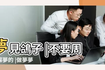 【周公解夢沒見網中的鴿子】夢見鴿子 |不要周公解夢的 |做夢夢見鴿子好不好 |