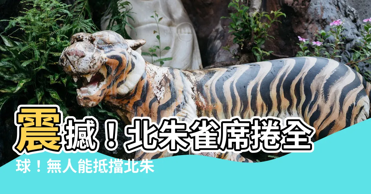 【北朱雀】震撼！北朱雀席捲全球！無人能抵擋北朱雀的驚人力量！