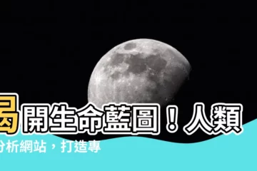 【人類圖分析網站】揭開生命藍圖！人類圖分析網站，打造專屬你的生命設計