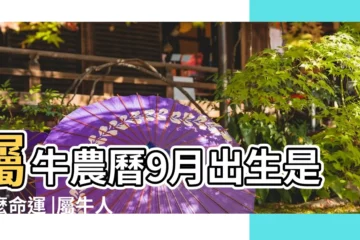 【農曆9月屬牛出生好嗎】屬牛農曆9月出生是什麼命運 |屬牛人的九月份運勢 |屬牛農曆九月出生的女人 |