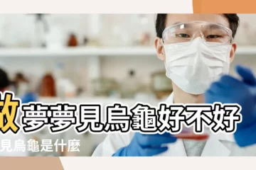 【夢見烏龜看自己】做夢夢見烏龜好不好 |夢見烏龜是什麼意思 |夢見烏龜爬到自己身上 |