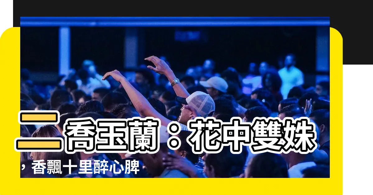 【二喬玉蘭】二喬玉蘭：花中雙姝，香飄十里醉心脾