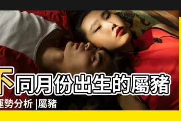 【出生七月份豬寶寶好嗎】不同月份出生的屬豬人運勢分析 |屬豬人出生月的命運 |農曆七月出生的豬寶寶好嗎 |