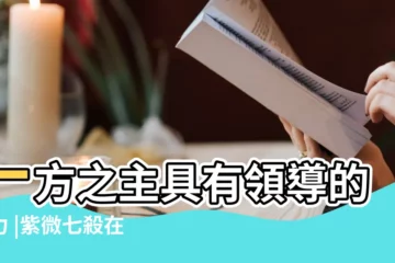 【紫微七殺坐命巳】一方之主具有領導的能力 |紫微七殺在巳亥坐命 |紫微命盤解析 |