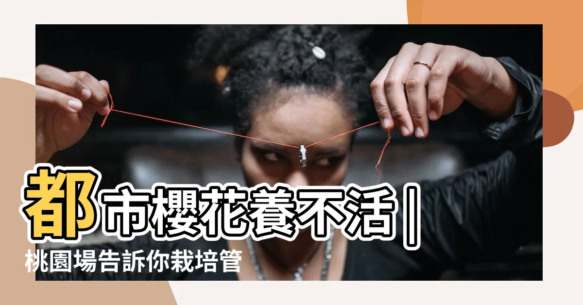 【種櫻花】都市櫻花養不活 |桃園場告訴你栽培管理要點 |要如何照顧 |