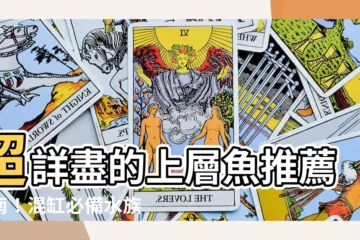 【上層魚推薦】超詳盡的上層魚推薦指南！混缸必備水族好夥伴
