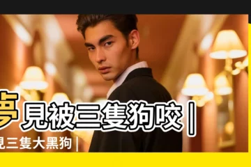 【夢見3只狗 其中一隻黑狗咬我】夢見被三隻狗咬 |夢見三隻大黑狗 |夢到三隻黑狗是什麼意思 |